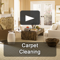 Pro-Care is Nashville's premiere carpet cleaning company specializing in all types of carpet.