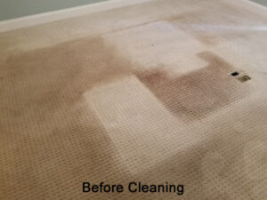 Carpet wear patterns before cleaning.