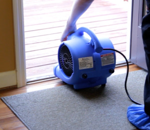 Air movers help ventilate the treatment area and shorten drying time following Pro-Care application of Fiber ProTector.