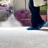 Technician applying carpet protector for stain resistance.